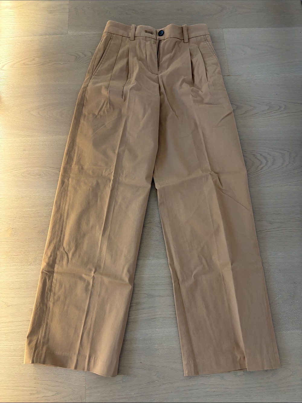 Aritzia Pleated High-Rise Wide-Leg Pants - Tan